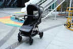 Dash Stroller